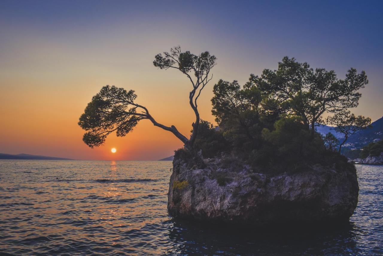 Villa Milena Kostanje Dış mekan fotoğraf